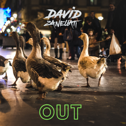 David Zanellati - OUT